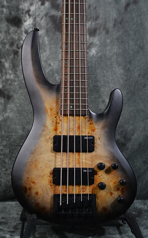 ESP LTD B-5 Neck Thru 5 String Bass Transparent Black Burst Spalted Maple Top
